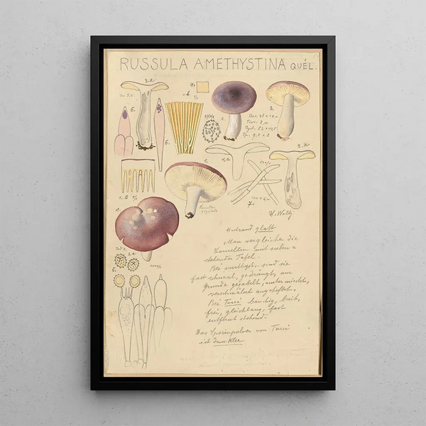 Russula amethystina - Hans Baldung — oprawiony obraz na ścianie