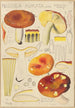 Russula aurata - Hans Baldung — widok dzieła