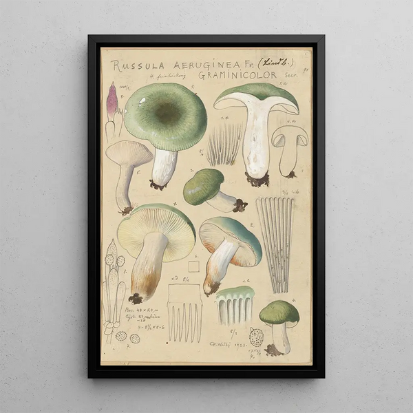 Russula aureginea - Hans Baldung — oprawiony obraz na ścianie