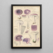 Russula azurea - Hans Baldung — oprawiony obraz na ścianie