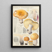 Russula constans - Hans Baldung — oprawiony obraz na ścianie