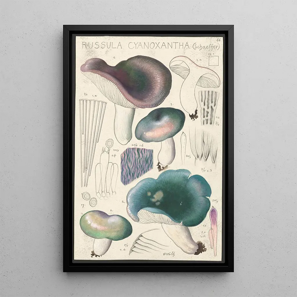 Russula cyanoxantha Schaeffer - Hans Baldung — oprawiony obraz na ścianie