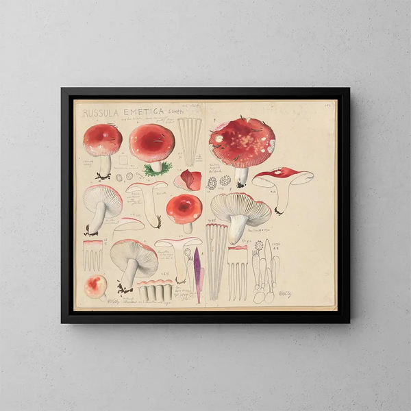 Russula emetica - Hans Baldung — oprawiony obraz na ścianie