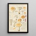 Russula fellea - Hans Baldung — oprawiony obraz na ścianie