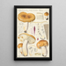Russula foetens Pers - Hans Baldung — oprawiony obraz na ścianie