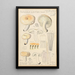 Russula lactea - Hans Baldung — oprawiony obraz na ścianie