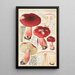 Russula linnaei - Hans Baldung — oprawiony obraz na ścianie