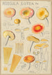 Russula lutea - Hans Baldung — widok dzieła