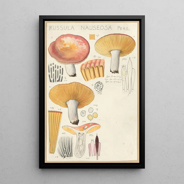 Russula nauseosa - Hans Baldung — oprawiony obraz na ścianie