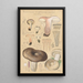 Russula nigricans - Hans Baldung — oprawiony obraz na ścianie
