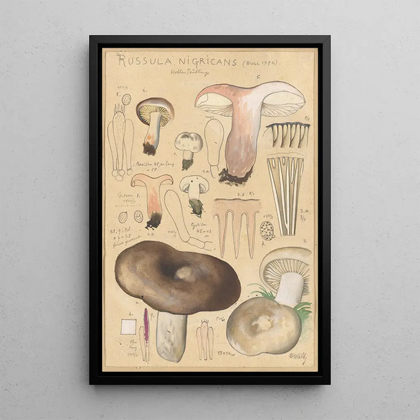 Russula nigricans - Hans Baldung — oprawiony obraz na ścianie