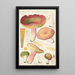 Russula olivacea schff - Hans Baldung — oprawiony obraz na ścianie