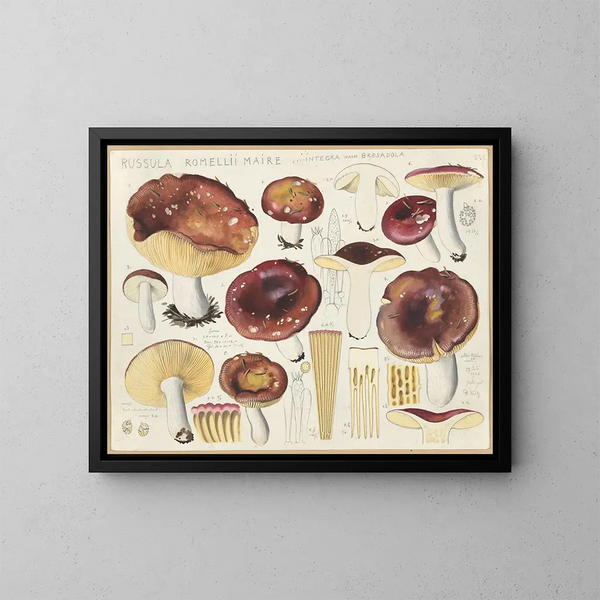 Russula romellii - Hans Baldung — oprawiony obraz na ścianie