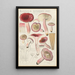 Russula rosacea - Hans Baldung — oprawiony obraz na ścianie