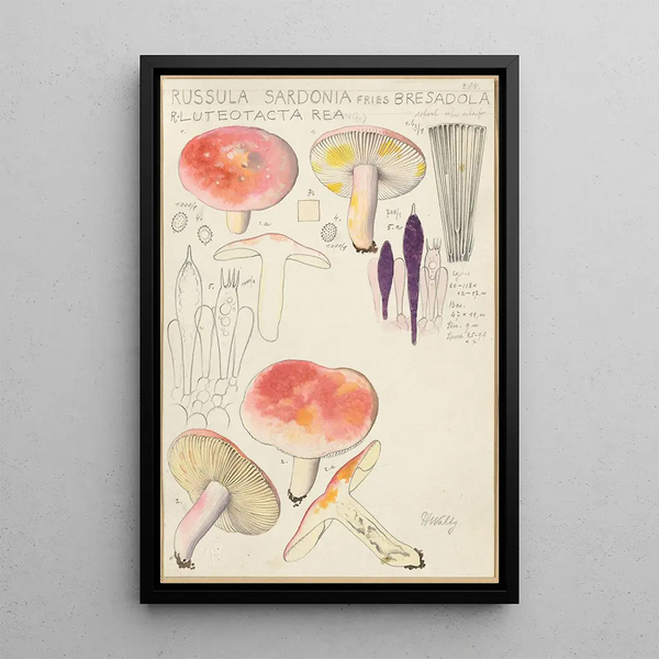Russula sardonia - Hans Baldung — oprawiony obraz na ścianie