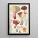Russula secretan - Hans Baldung — oprawiony obraz na ścianie