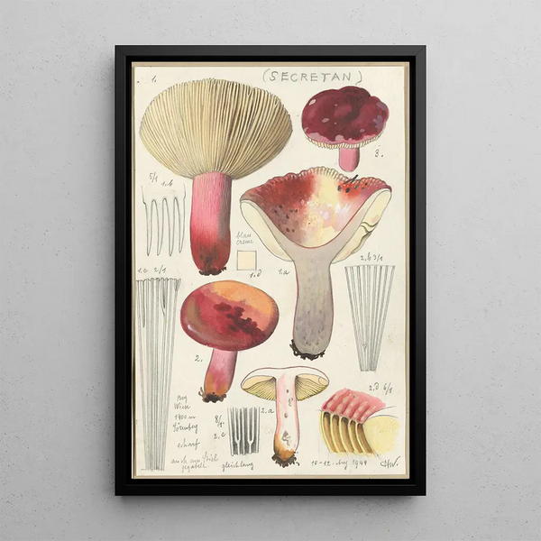 Russula secretan - Hans Baldung — oprawiony obraz na ścianie