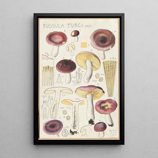 Russula turci - Hans Baldung — oprawiony obraz na ścianie