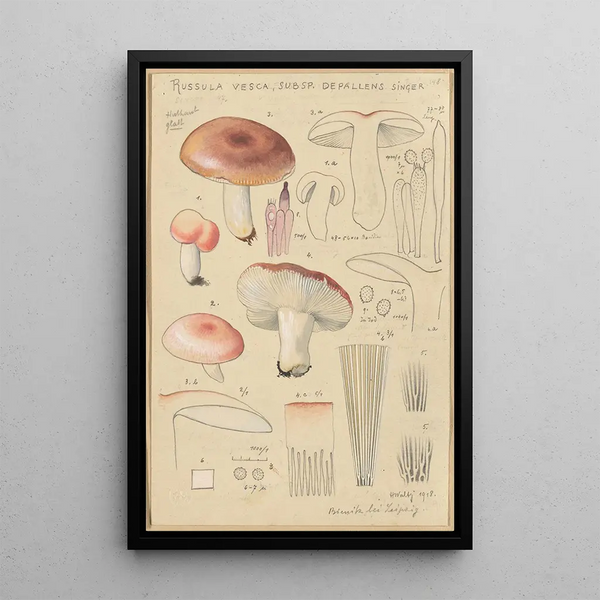 Russula vesca subsp Depallens singer - Hans Baldung — oprawiony obraz na ścianie