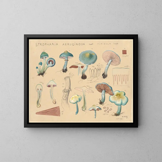 Stropharia aeruginosa var. viridula - Hans Baldung — oprawiony obraz na ścianie
