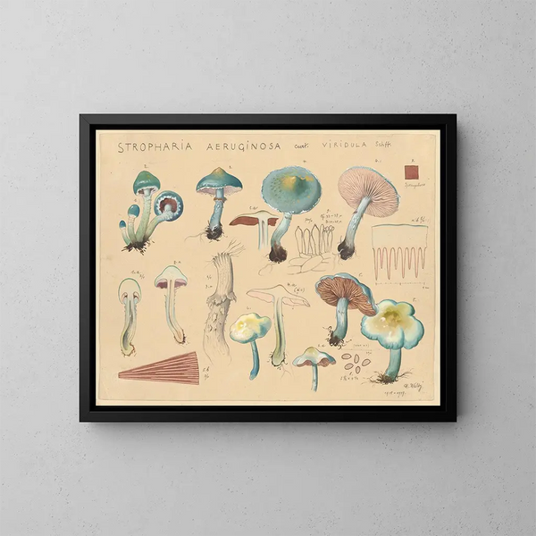 Stropharia aeruginosa var. viridula - Hans Baldung — oprawiony obraz na ścianie