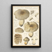 Tricholoma pardinum quelet - Hans Baldung — oprawiony obraz na ścianie
