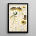 Tricholoma sejunctum Sow - Hans Baldung — oprawiony obraz na ścianie