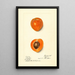 Prunus mume Sharpe - Harriet L Thompson — oprawiony obraz na ścianie