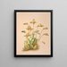 Lycaste Aromatica - Harriet Stewart Miner — oprawiony obraz na ścianie