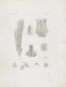 Mémoires du Musée de zoologie comparée du Harvard College Pl03 - Musée de Zoologie Comparée de l'Université Harvard — widok dzieła