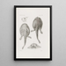 Mémoires du Musée de Zoologie Comparée de l'Université Harvard Pl22 - Musée de Zoologie Comparée de l'Université Harvard — oprawiony obraz na ścianie