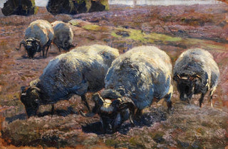Heinrich Von Zgel - Weidende Schnucken in sonniger Heide.webp