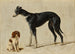 Un épagneul Cavalier King Charles siedzący i chart stojący - Hendrik Stokvisch — widok dzieła