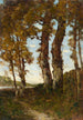 Drzewa nad brzegiem Loary - Henri-Joseph Harpignies — widok dzieła