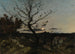 Jasna noc w okolicach Marsylii - Henri-Joseph Harpignies — widok dzieła
