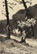 Studium drzew - Henri-Joseph Harpignies — widok dzieła