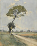 Drzewo przy drodze - Henri-Joseph Harpignies — widok dzieła