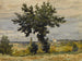 L'drzewo na skraju drogi - Henri-Joseph Harpignies — widok dzieła