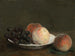 Brzoskwinie i winogrona w porcelanowym naczyniu - Henri Fantin-Latour — widok dzieła