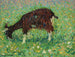 Koza na polu kwiatów - Henri Martin — widok dzieła