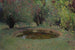 Marquayrol le bassin aux thuyas - Henri Martin — widok dzieła