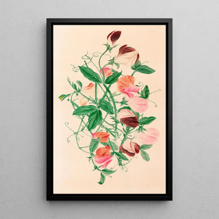 Henrietta Benson Homer - Sweet Peas.webp