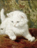 Curiosité - Henriette Ronner-Knip — widok dzieła