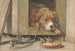 niebezpiecznego terenu - Henriette Ronner-Knip — widok dzieła