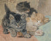 Trzy kotki - Henriette Ronner-Knip — widok dzieła