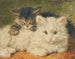 dwóch kotków - Henriette Ronner-Knip — widok dzieła
