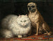 Dwóch przyjaciół - Henriette Ronner-Knip — widok dzieła