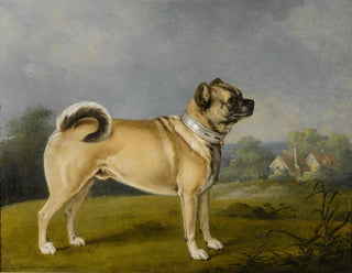 Ulubiony buldog - Henry Bernard Chalon — widok dzieła