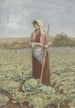 Pole kapusty - Henry Green — widok dzieła