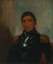Chippewa od Big Buffalo - Henry Inman — widok dzieła